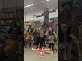 Download Lagu Home Depot Halloween 2025!