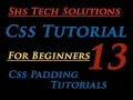 Css Tutorial For Beginners - 13 Css Padding Tutorials How to write Padding Properties In CSS