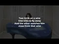 Regina Spektor - Two Birds (LYRICS) "Two birds on a wire" [TikTok Song]