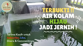 Download TERBUKTI !! | Air Kolam HIJAU Menjadi Jernih MP3