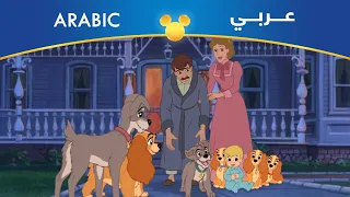 النبيلة والشارد ۲ انطلاقة سهم أهلا أهلا إعادة مصري 