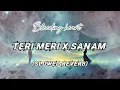 Download Lagu Teri meri x sanam ||Arjit Singh|| lofi song (slowed reverb)