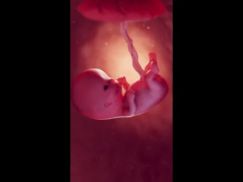 #Life at 10 Weeks #science #medicine