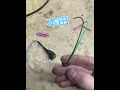 Honda Element P2646 P2647 VTEC Repair