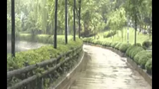 يا دنيا دواره طبع شلون غداره شلون شلون دنيتنا 