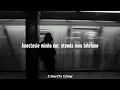 Zauntee - PRICE TO STAY ALIVE (Tradução)