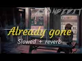 DJ Already gone slowed reverb | Dj Viral Tiktok 2022