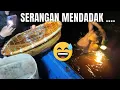 Download Lagu Udang Rawa Hitam Tembus 80 Ribu Sekilo, Ternyata Sangat Banyak di Sungai Wakanda
