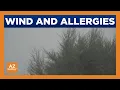 Windy weather this week could aggravate allergies in Arizona