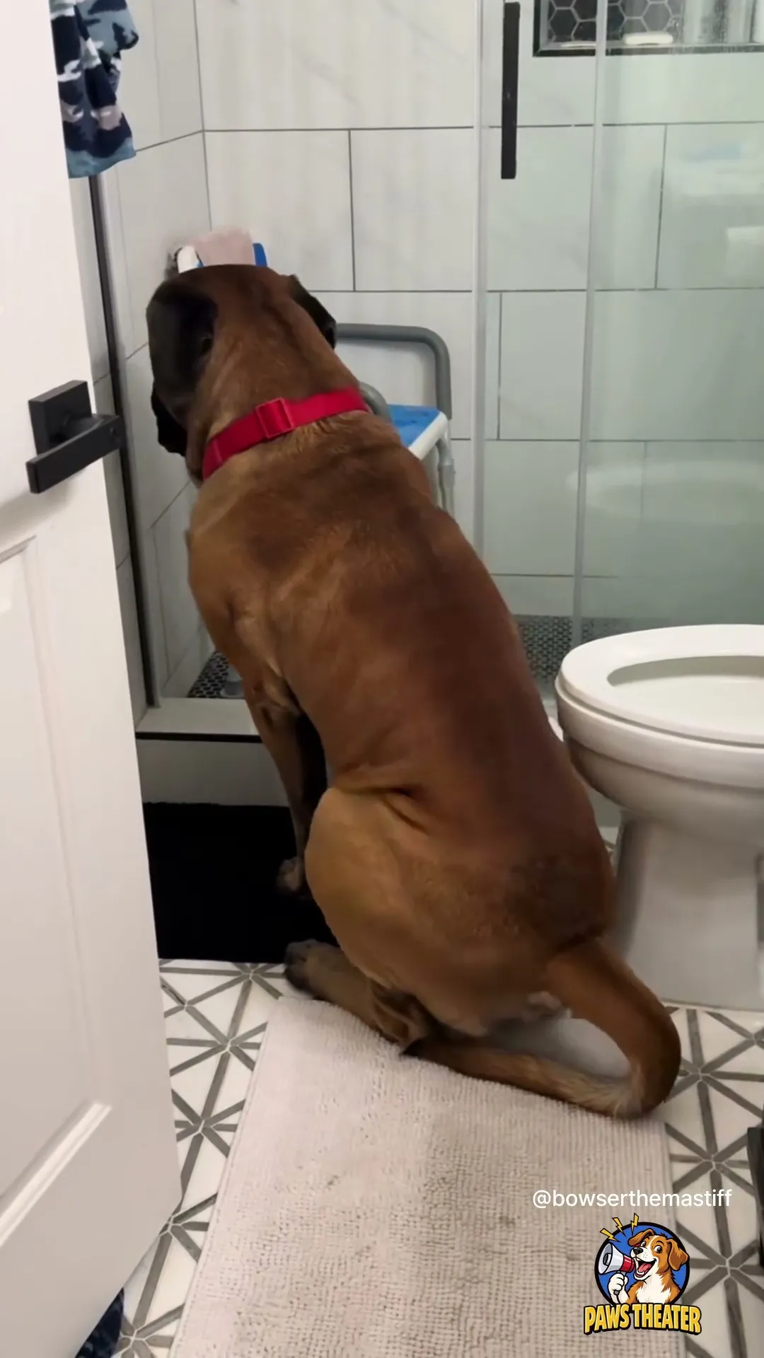 Coincé à 90 Kilos 🐶🚪