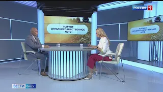 От жары и суховеев в Омской области погибли посевы зерновых культур на площади более пяти тысяч гектаров