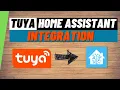 New Tuya Home Assistant Integration Quick Set up Guide