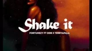 fortunezy ft odb u0026 terry apala shake it 2017 official audio
