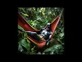 HIdden Hammock (song) #stealthcampingalliance @HiddenHammock