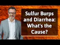 Sulfur Burps and Diarrhea What s the Cause