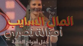 المال السايب   أصالة    العقبة                                  دندنها