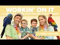 Download Lagu Workin’ On Family Vacation