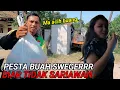 Download Lagu PESTA BUAH SWEGERR BIAR GAK SARIAWAN