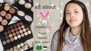 WHAT BRANDS DO DON T TEST ON ANIMALS How to Go Cruelty Free