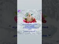 Download Lagu 6 Dec | ज्ञानाच्या अथांग सागरास महापरिनिर्वाण दिनानिमित्त विनम्र अभिवादन🌼💙#jaybhim