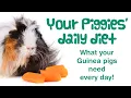 What Does a GUINEA PIG Eat Guinea Pig DAILY DIET Feeding Guinea Pigs Best Food
