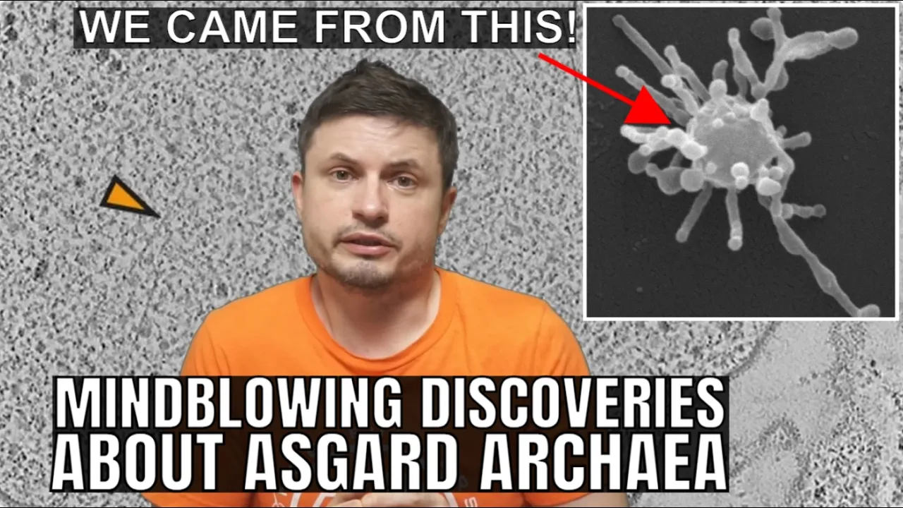 Mind-blowing Discoveries About Asgard Archaea, Ancestors of Complex Life