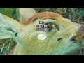 The Acacia Strain - FRESH BONES (Visualizer)