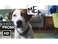 Video di Downward Dog (ABC) Promo HD