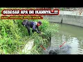 Download Lagu ASLI IKAN BESAR.!!!PEMANCING SAMPAI KUALAHAN SAAT MANCING DI SELOKAN SEKALI LEMPAR SAMBAR IKAN BESAR