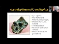 ANTHR 1-Ch 10-06 Robust Australopiths