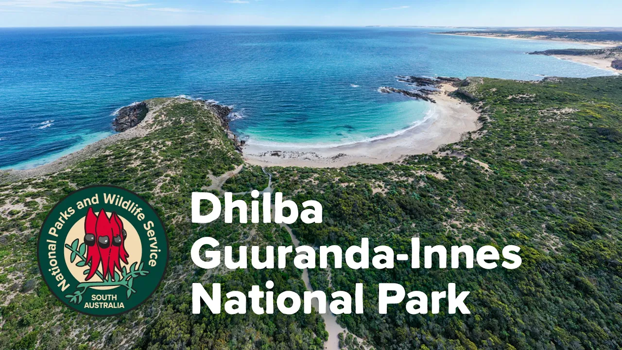 Co-Management of Dhilba Guuranda-Innes National Park – working in partnership