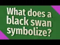 Download Lagu What does a black swan symbolize?