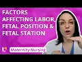 Factors Affecting Labor Fetal Position Fetal Station - Maternity Nursing LevelUpRN