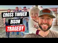 What really happened to Cross Timbers Bison Farm