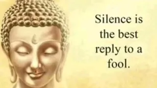 Https Youtube Com Shorts 4JNAXL1Aq K Si 6jzjEwpi9VfGtT N I Dunno What To Do Mate 