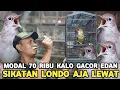 GAK USAH SIKATAN LONDO IMPOR..!!! INI AJA CUKUP 80 RIBU SUDAH SEMEWAH INI KALO GACOR