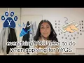 Applying For YYGS Here s EVERYTHING You Need to