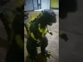 Download Lagu Shin Godzilla Simon is mad