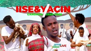 IISE HABIIBI YACIN HIDIG HEES CUSUB XEER CIISE SAYLAC OFICIAL VIDEO 2025 