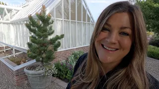 Refreshing the Hartley & Barn Containers + Planting Oakleaf Hydrangeas on the West Side! 🪴🥰🌲