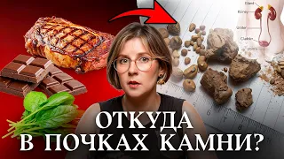 Раньше умирал каждый второй. Как лечат камни в почках и мочевом пузыре | Почему мы еще живы