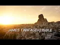 JAMES 1 NIV BIBLE with text