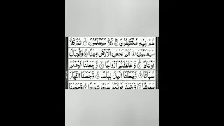 STUDY OF QURAN SURAH NABA 