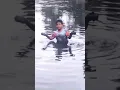 Download Lagu VIRAL!! ANAK KECIL TENGGELAM DI MAKAN BUAYA