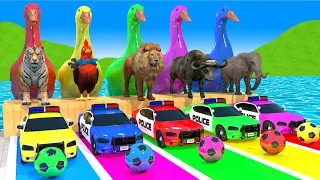 Long Slide Game With Cow Elephant Gorilla Hippopotamus Tiger - 3d Animal Game - Funny 3d Animals