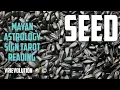 Seed Planting Subliminal Bombs That Make Minds Implode Mayan Astrology Sign Tarot Reading