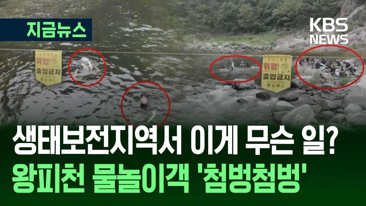 관련 영상 썸네일