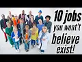 Top 10 Unusual Jobs YOU Won t Believe EXIST