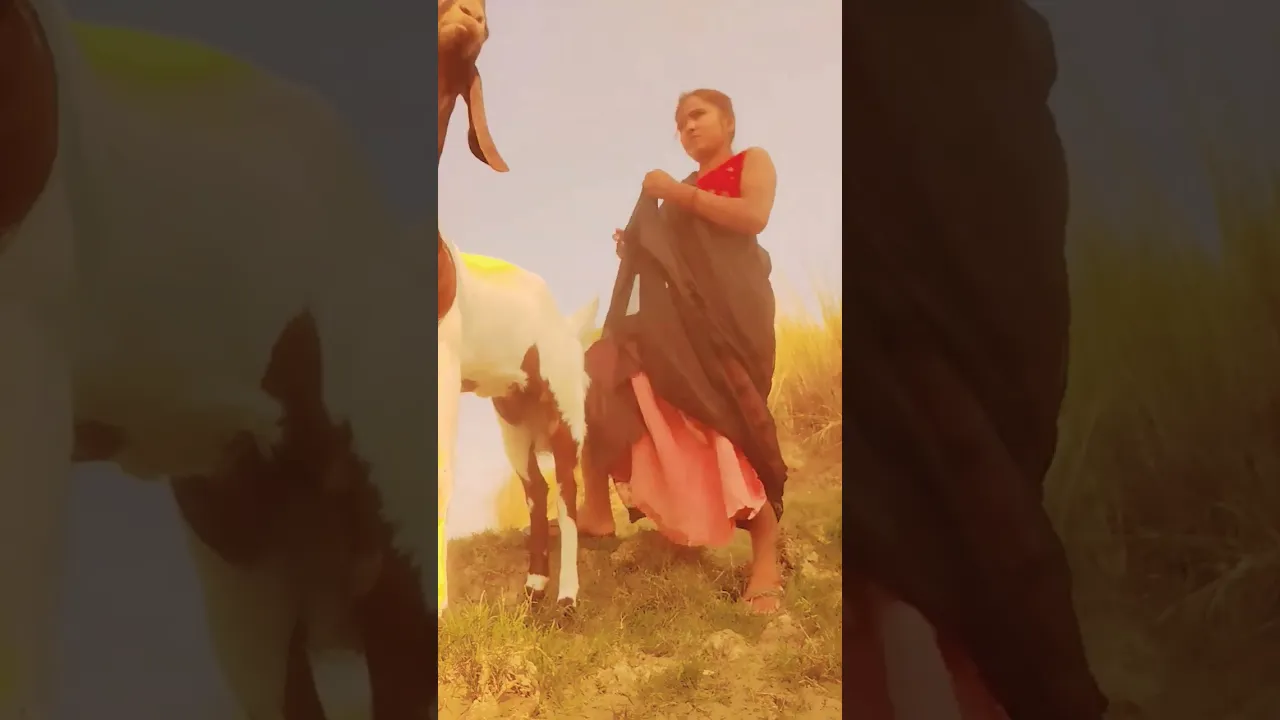 #animals