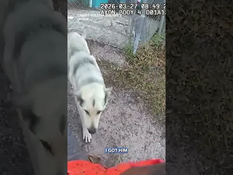 3 Arrested After Florida Man Throws Bags of Cocaine At Drug Dealer, Deputies Say